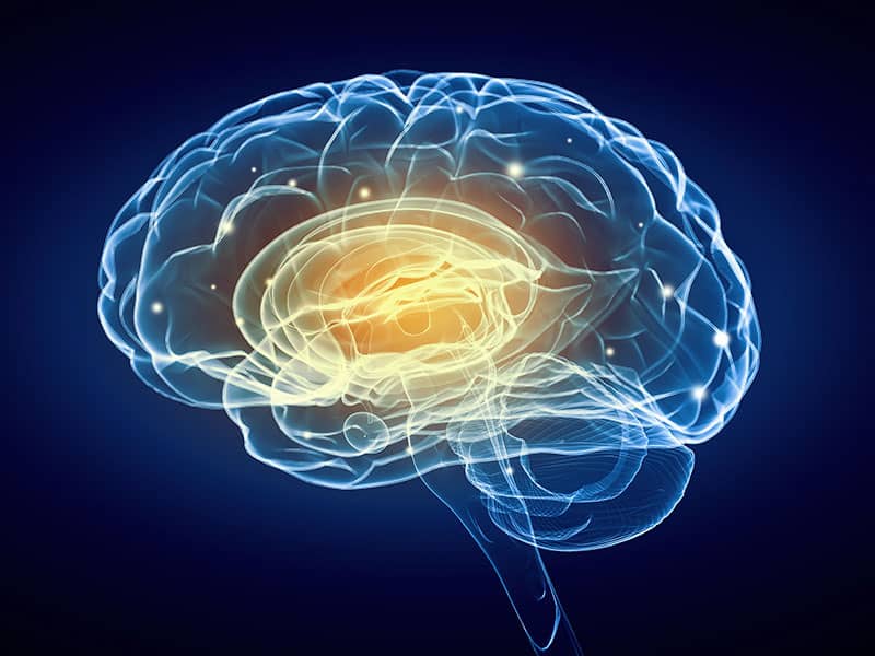 Brain Plasticity and You - Beliefnet